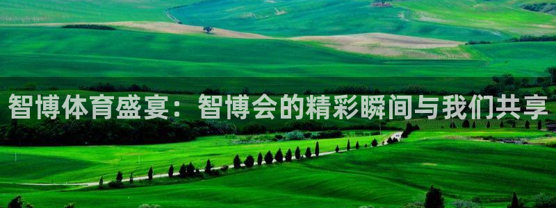 玩球直播官网：智博体育盛宴：智博会的精彩瞬间与我们共享