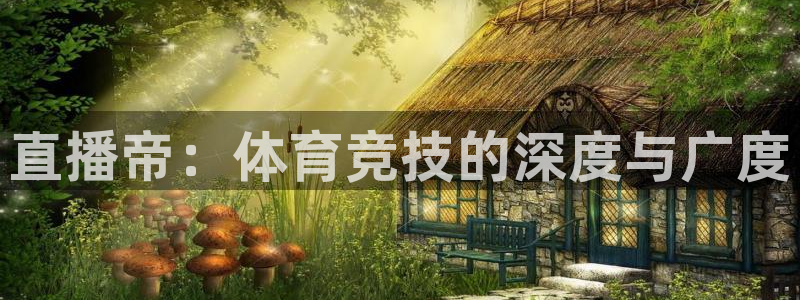 玩球直播app官方版下载：直播帝：体育竞技的深度与广度