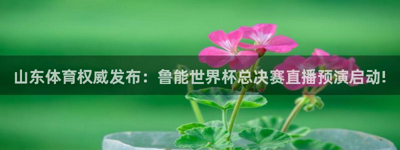 玩球直播网站：山东体育权威发布：鲁能世界杯总决赛直播预演启动!