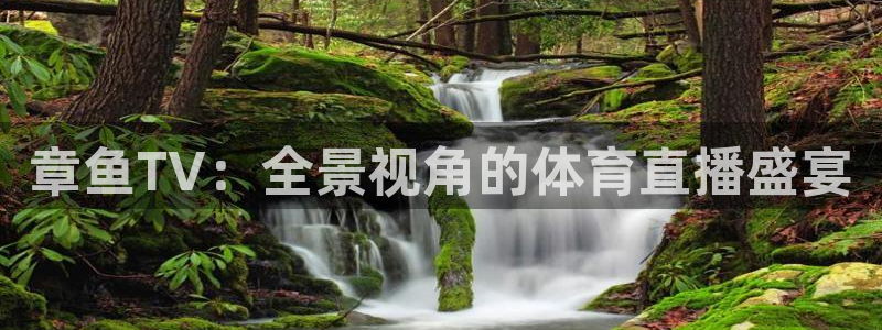 玩球直播 官网：章鱼TV：全景视角的体育直播盛宴