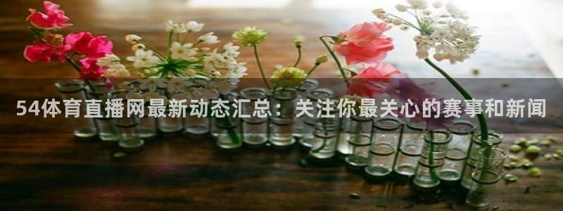 wqzb玩球直播：54体育直播网最新动态汇总：关注你最关心的赛事和新闻