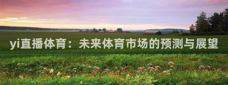 玩球直播下载ios：yi直播体育：未来体育市场的预测与展望