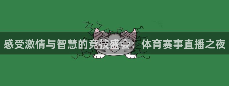 nba玩球直播：感受激情与智慧的竞技盛会：体育赛事直播之夜