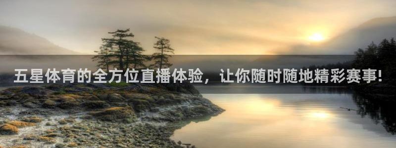玩球直播app：五星体育的全方位直播体验，让你随时随地精彩赛事!