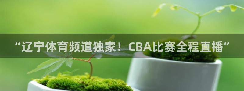 玩球直播官网nba直播：“辽宁体育频道独家！CBA比赛全程直播”