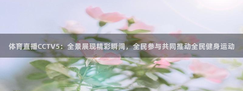 玩球直播观看：体育直播CCTV5：全景展现精彩瞬间，全民参与共同推动全民健身运动