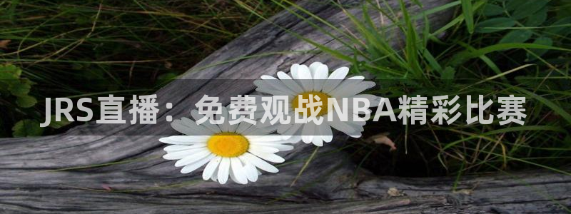 玩球直播nba
