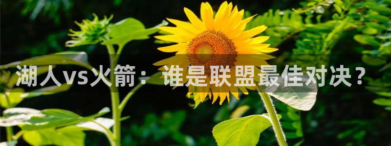 玩球直播在线