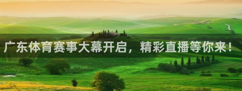 玩球球