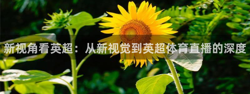 玩球直播nba