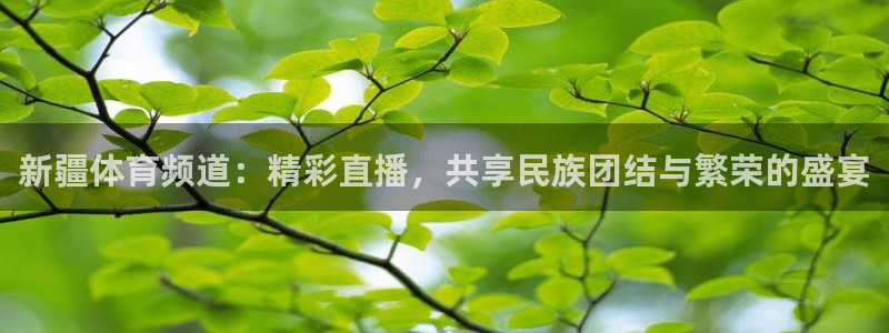 玩球的直播平台：新疆体育频道：精彩直播，共享民族团结与繁荣的盛宴