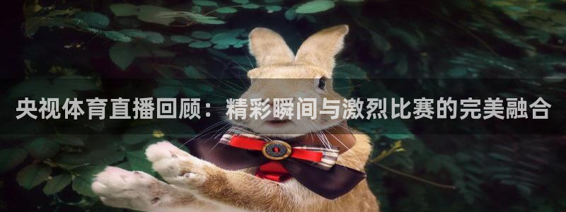 玩球tv直播