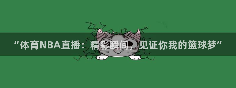 玩球直播(免费版)：“体育NBA直播：精彩瞬间，见证你我的篮球梦”